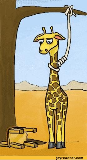 funny-pictures-auto%D0%B1-giraffe-suicide-hanging-360089.jpeg