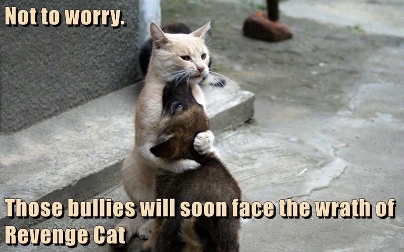dont-worry-i-got-your-back