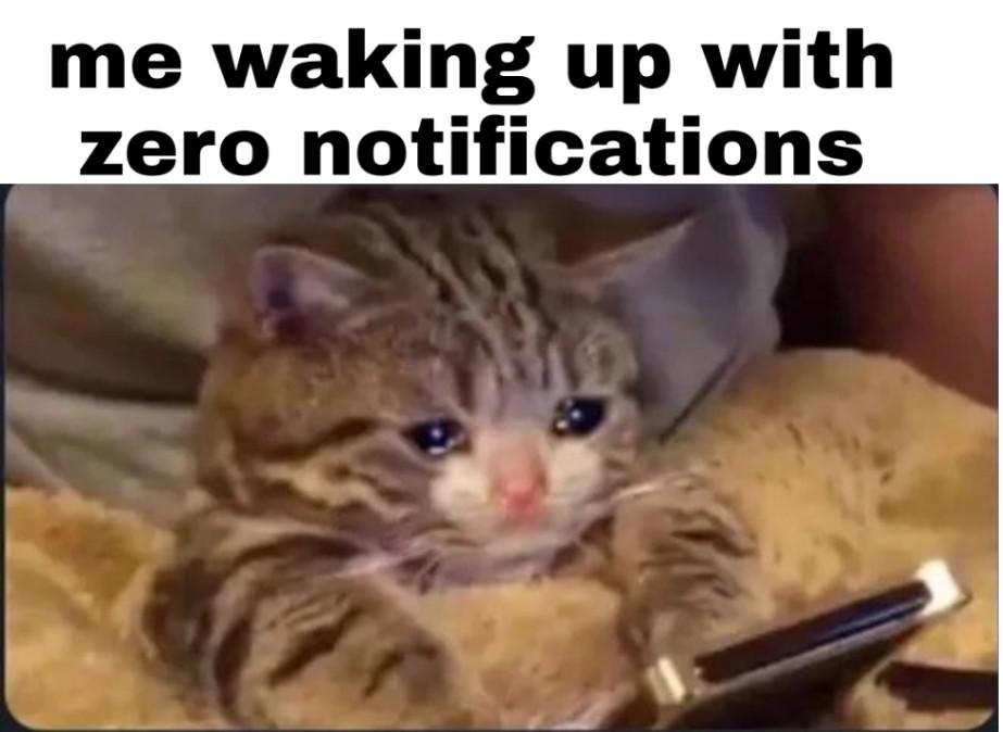 eqrjhons7in31.jpg