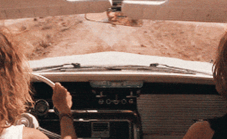 thelma and louise remix GIF