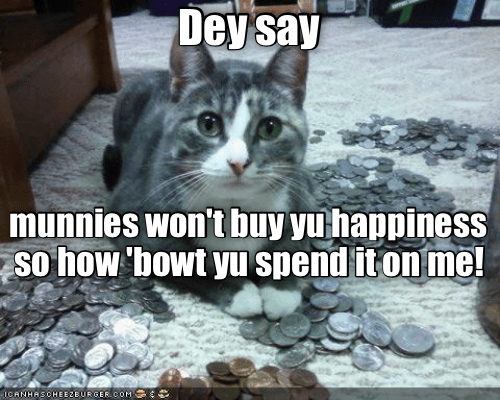 cat-meme-about-how-money-wont-buy-happiness