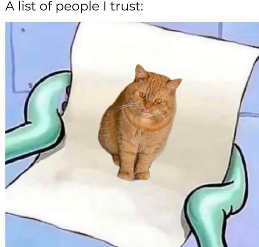 A-list-of-people-Funny-Caturday-Memes.jpeg
