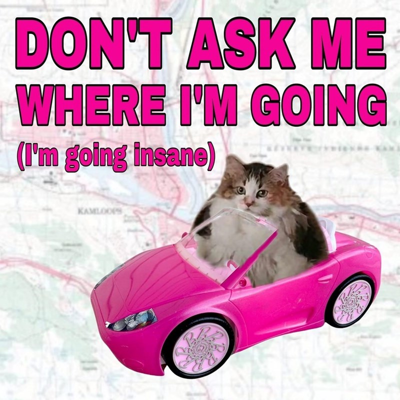 dont-ask-where-going-going-insane-kamloops