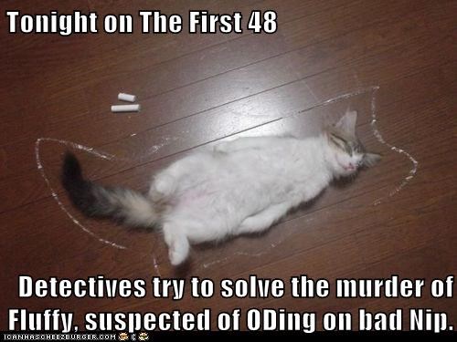 tonight-on-the-first-48