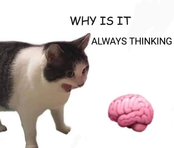 fd8.jpg