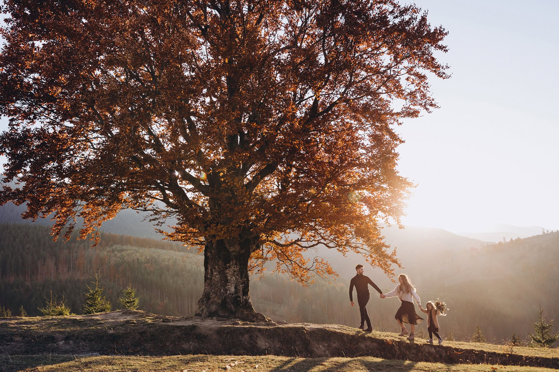 www.betterplaceforests.com