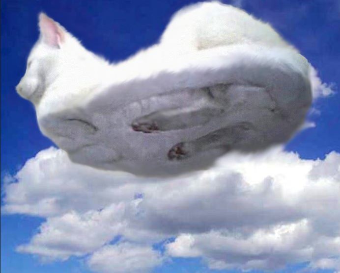cat-cloud.jpg