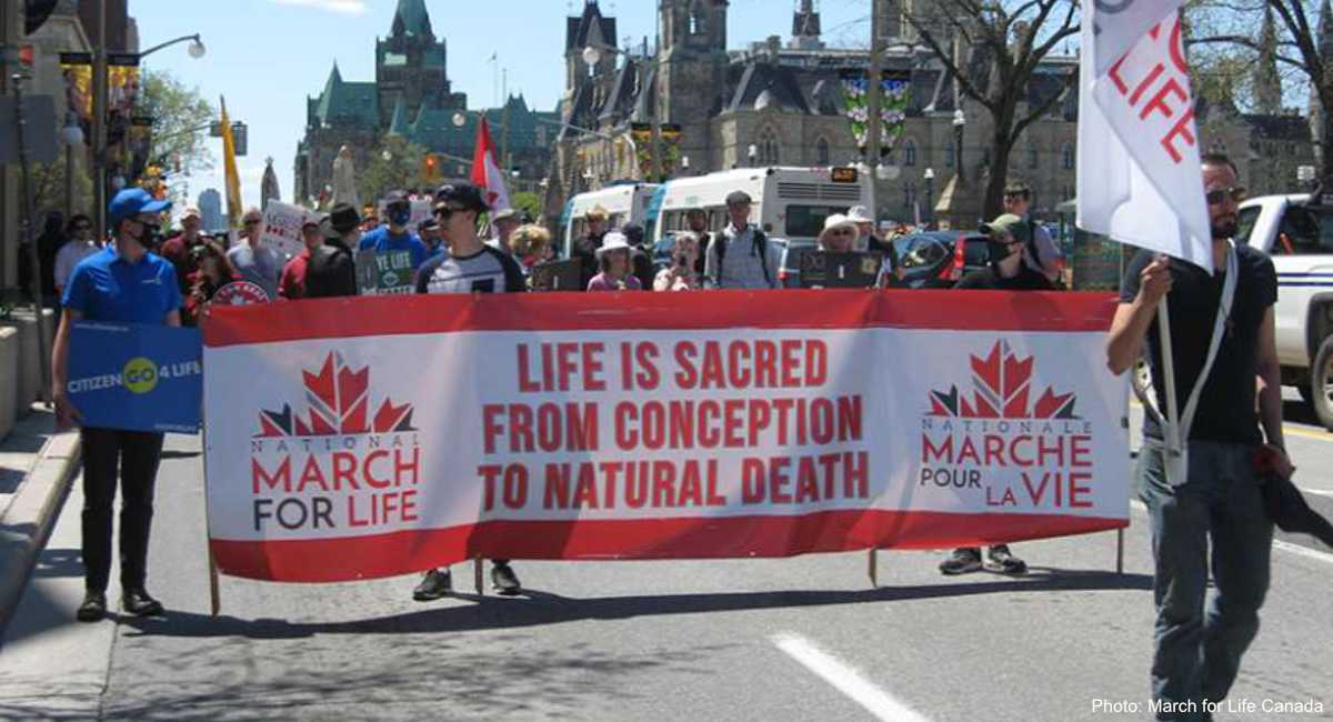 www.liveaction.org