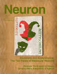 www.sciencedirect.com