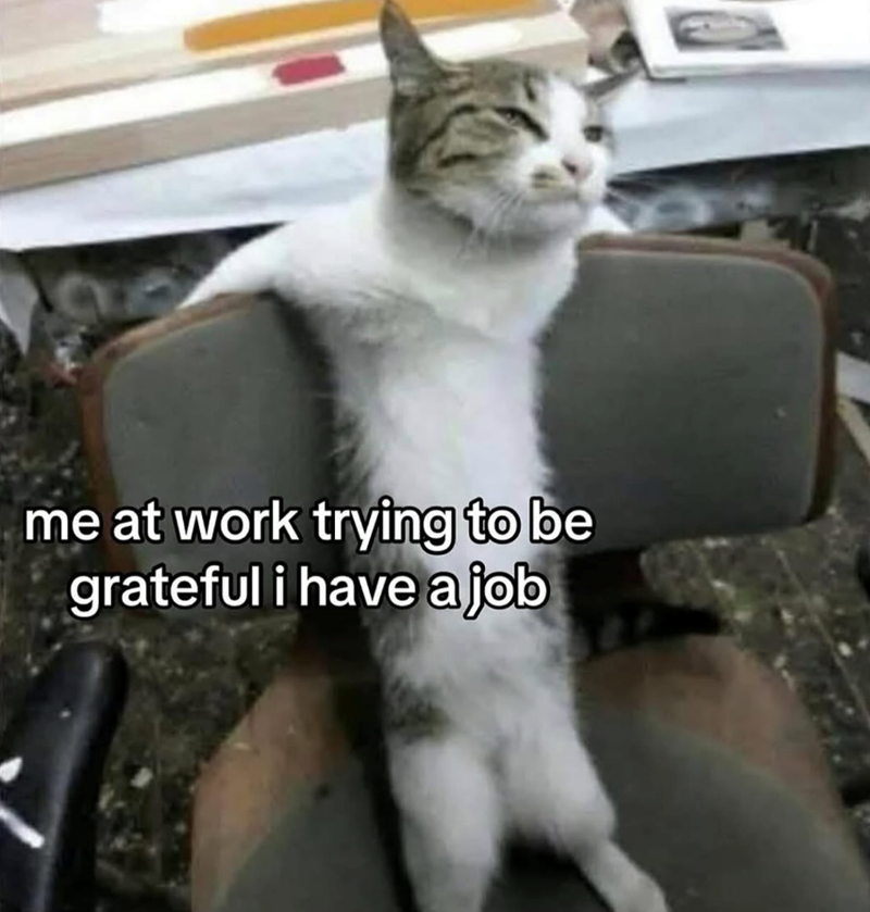 at-work-trying-be-grateful-have-job