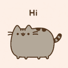 meow-cat.gif