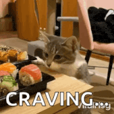 cat-steals-sushi-cat.gif