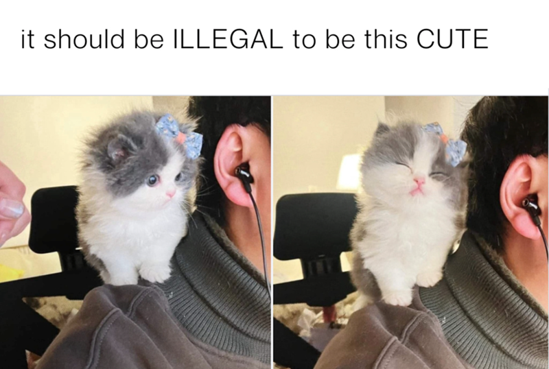 should-be-illegal-be-this-cute