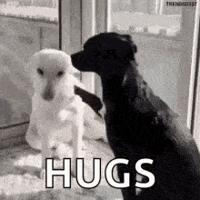 ori.gif