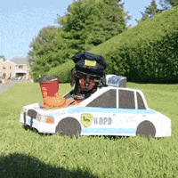 Dog Speeding GIF