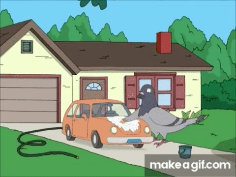 gpqi1c.gif