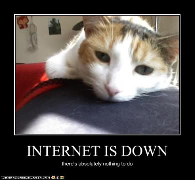 internet-is-down-cat-is-bored.jpg
