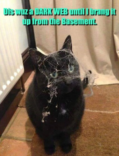 you-really-need-to-change-the-light-bulb-downstairs