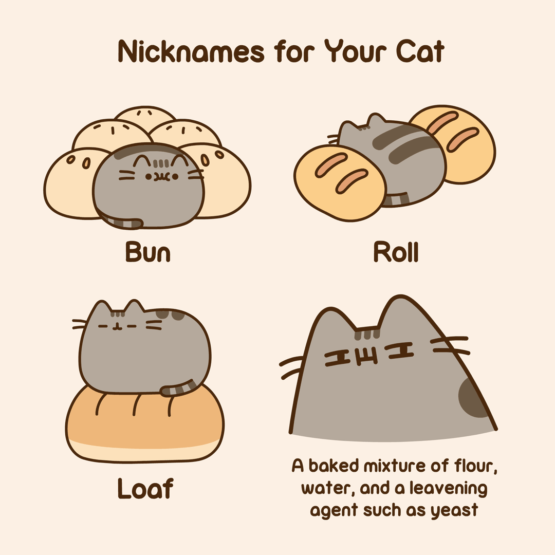 Nicknames_For_Your_Cat_V2.gif