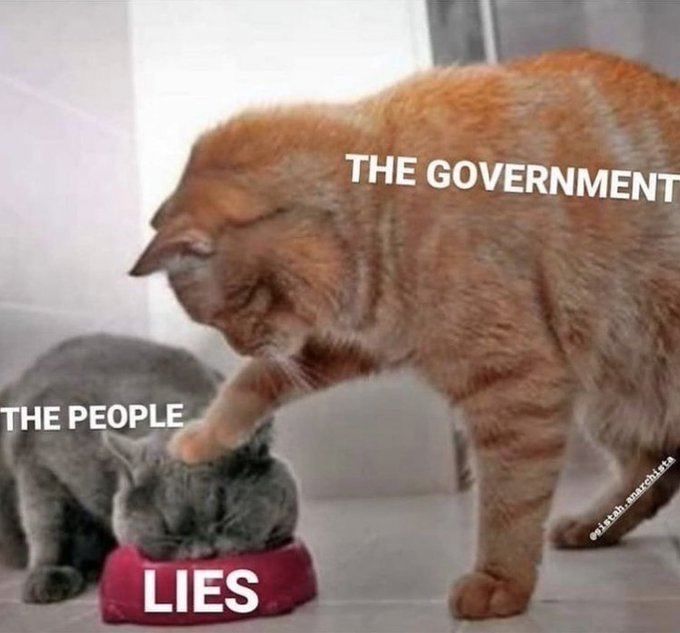 3832a76cf8ed8fc75e613af4e2fa9cb1fe58f5a6.jpeg