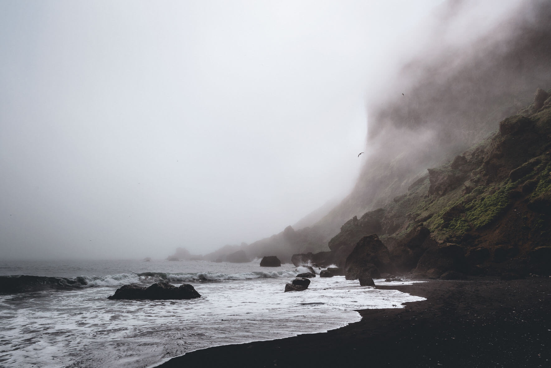 northlandscapes-iceland-vik-foggy-coastline-01.jpg