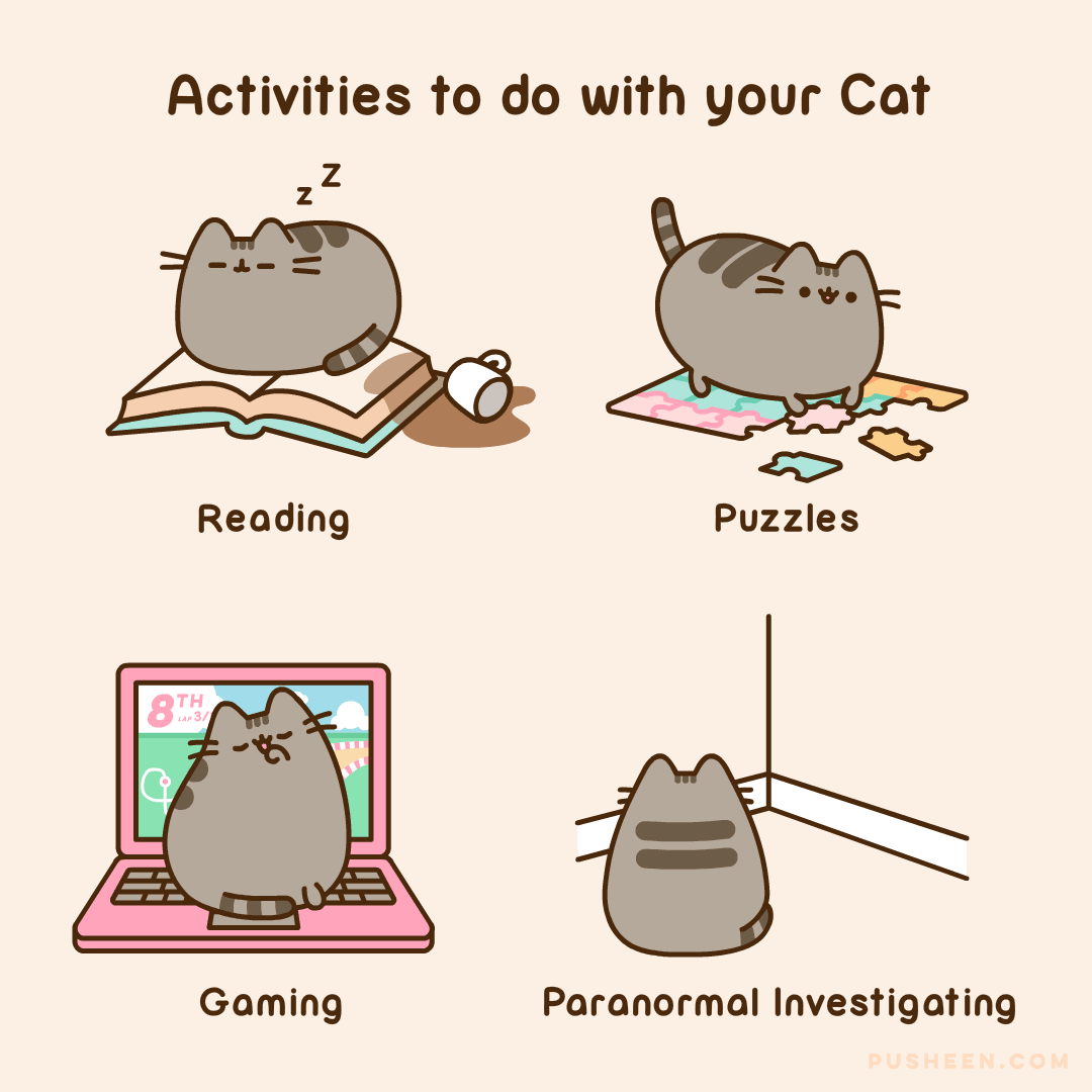 Activities-to-do-with-your-Cat.gif