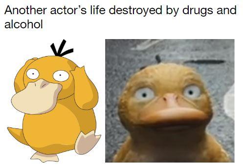 5qz6urlgj0y11.jpg