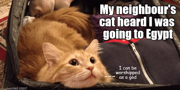 god-cat-egypt-heard-caption-going-9009814784