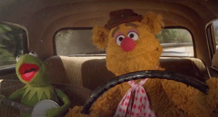 Driving-Muppets.gif
