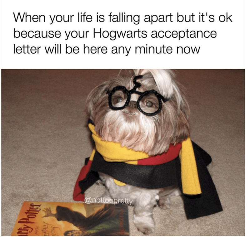 falling-apart-but-s-ok-because-hogwarts-acceptance-letter-will-be-here-any-minute-now-nottoopretty