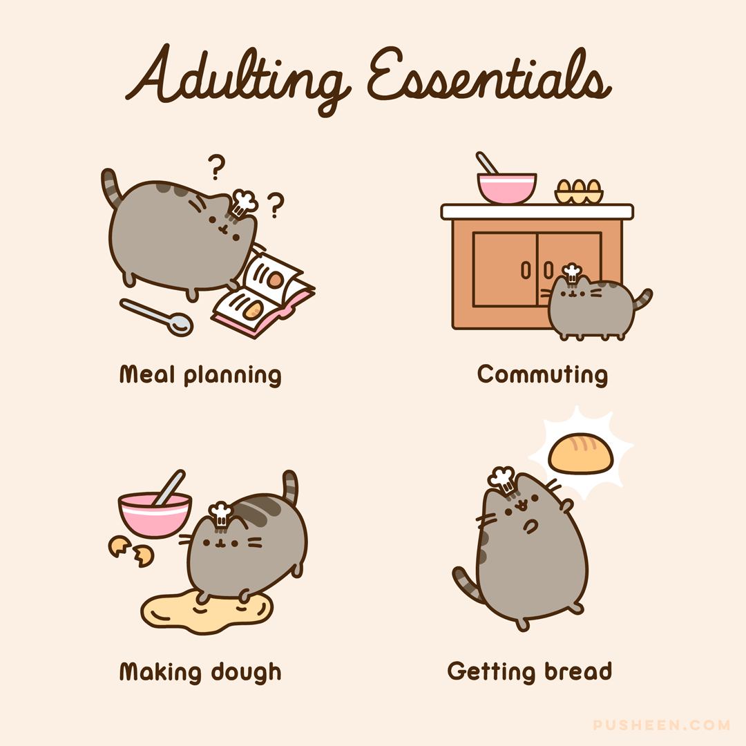 Adulting-Essentials.gif