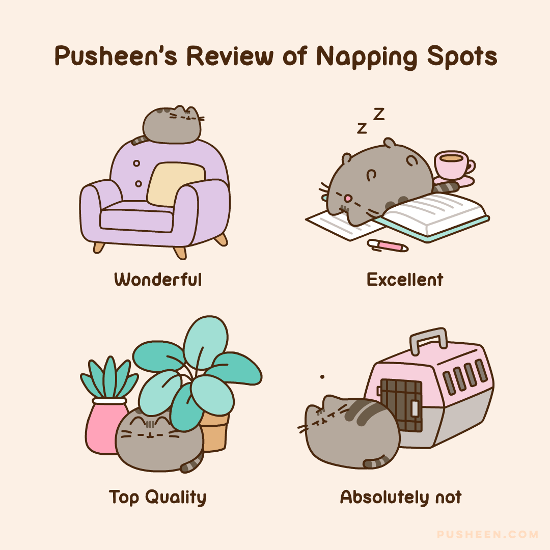 Pusheens_Review_of_Napping_Spots.gif