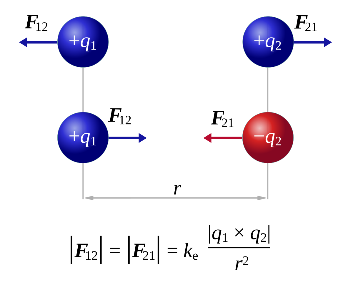 en.wikipedia.org