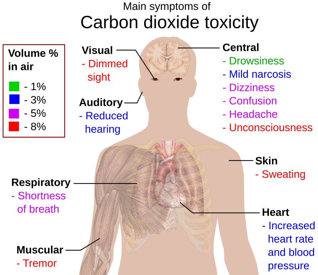 1024px-Main_symptoms_of_carbon_dioxide_toxicity.svg.png